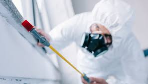 Emergency Pest Control Services in Lockhart, TX